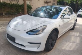 特斯拉 Model 3(进口) 2019款 长续航后驱版