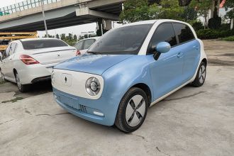 欧拉黑猫 2022款 301km 基础型 三元锂