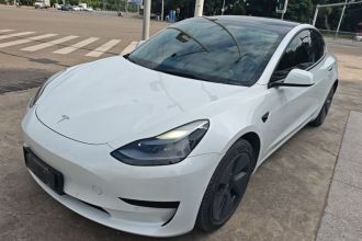 特斯拉 Model 3 2021款 标准续航后驱升级版 3D6