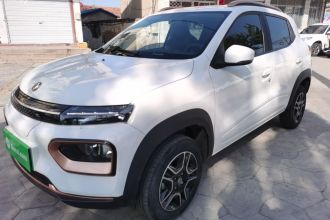 东风纳米EX1 2023款 PRO 轻风版闪电型