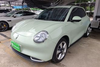 欧拉好猫 2023款 401km标准续航 豪华型 三元锂
