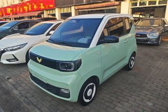 五菱汽车 宏光MINIEV 2021款 马卡龙臻享款 磷酸铁锂