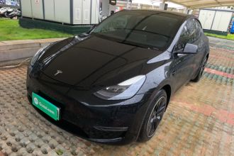 特斯拉 Model Y 2021款 标准续航后驱版