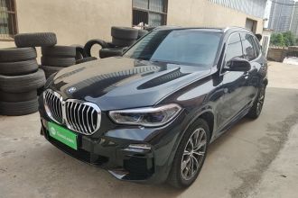 宝马X5(进口) 2019款 xDrive40i M运动套装
