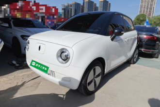 欧拉黑猫 2021款 301km 基础型