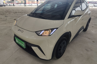 比亚迪 海鸥 2024款 荣耀版 305km 活力版