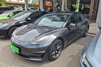 特斯拉 Model 3 2021款 标准续航后驱升级版 3D6