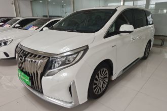 广汽传祺 传祺M8 2021款 大师系列 390T 至尊版