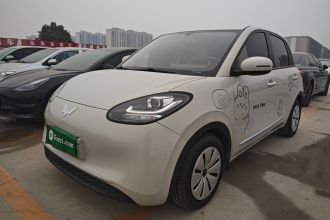 五菱汽车 五菱缤果 2023款 333km 快享款