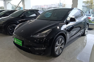 特斯拉 Model Y 2022款 改款 长续航全轮驱动版