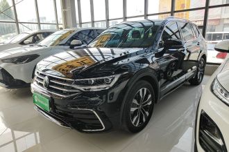 大众 途观L 2024款 出众款 330TSI 自动两驱R-Line龙耀版