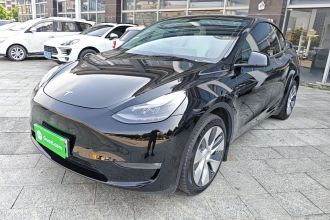特斯拉 Model Y 2021款 标准续航后驱版