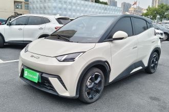 比亚迪 海鸥 2023款 自由版