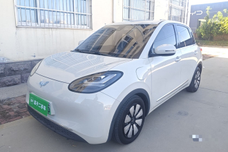 五菱汽车 五菱缤果 2023款 333km 悦享+款
