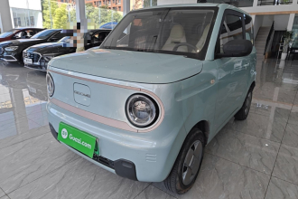 吉利银河 2023款 熊猫mini 200km 耐力熊