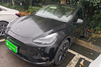 特斯拉 Model Y 2021款 标准续航后驱版