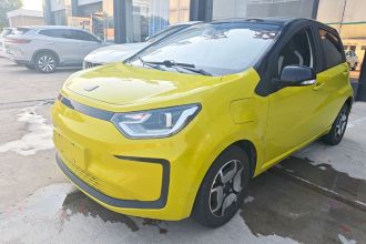 思皓 花仙子 2021款 302km 豪华型 30.2kWh