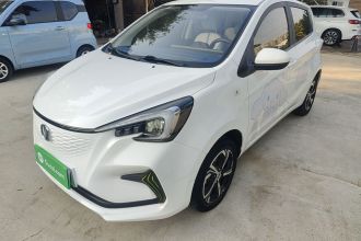 长安 奔奔E-Star 2022款 清心版 多彩款 磷酸铁锂