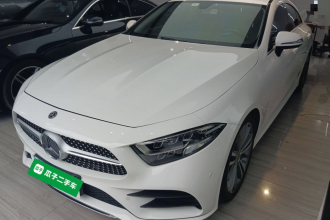 奔驰CLS 2020款 CLS 300 动感型