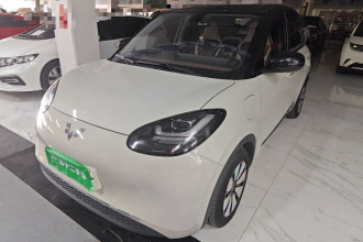 五菱汽车 五菱缤果 2023款 333km 灵犀互联款