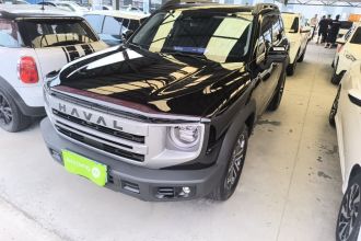 哈弗大狗 2024款 1.5T DCT边牧版
