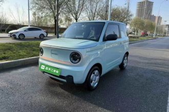 吉利银河 2024款 熊猫mini 200km 龙腾PRO版