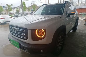 哈弗大狗 2021款 1.5T DCT两驱边牧版