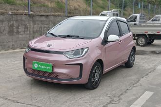 思皓 花仙子 2021款 302km 时尚型 31.4kWh