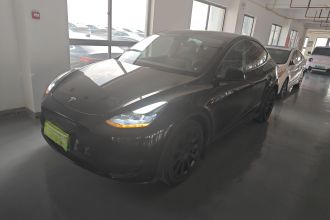特斯拉 Model Y 2021款 标准续航后驱版