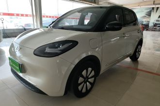 五菱汽车 五菱缤果 2023款 333km 灵犀互联款