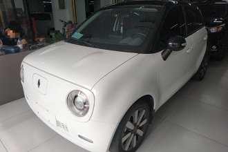 欧拉黑猫 2021款 351km 标准型