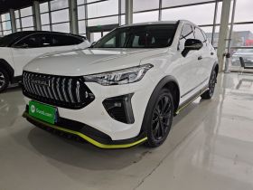 哈弗赤兔 2021款 激擎版 1.5T 黄金兔