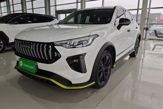 哈弗赤兔 2021款 激擎版 1.5T 黄金兔