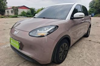 五菱汽车 五菱缤果 2023款 333km 灵犀互联+款