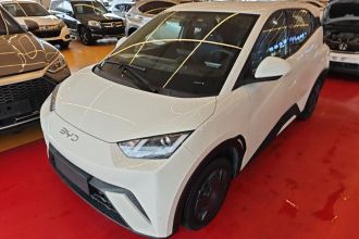 比亚迪 海鸥 2024款 荣耀版 305km 活力版