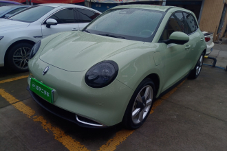 欧拉好猫 2023款 401km标准续航 尊贵型 磷酸铁锂