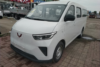 五菱汽车 五菱扬光 2024款 300km 舒适型客车版 75kW