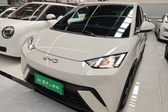 比亚迪 海鸥 2025款 305km 活力版