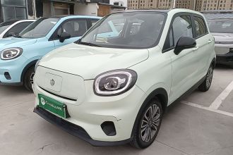 零跑汽车 零跑T03 2024款 403舒享版