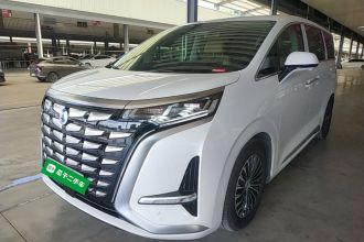 腾势D9 2024款 DM-i 980 四驱尊荣型