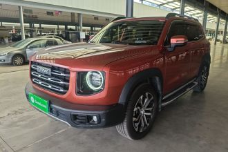 哈弗大狗 2021款 2.0T DCT两驱中华猎犬版