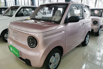 吉利银河 2024款 熊猫mini 200km 耐力熊