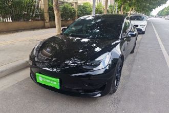 特斯拉 Model 3 2021款 改款 标准续航后驱升级版 3D1