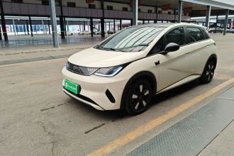 比亚迪 海豚 2025款 智驾版 410km 时尚版