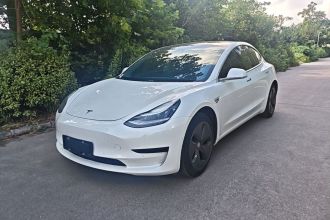 特斯拉 Model 3(进口) 2019款 标准续航后驱升级版(52度)