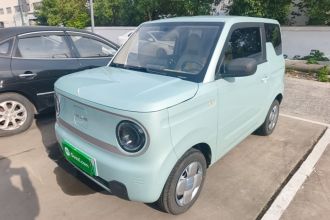 吉利银河 2023款 熊猫mini 200km 耐力熊