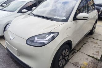 五菱汽车 五菱缤果 2025款 333km 悦享款