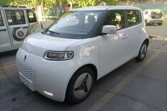 欧拉白猫 2020款 360km 豪华型