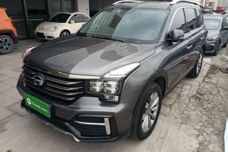 广汽传祺 传祺GS8 2020款 390T 两驱豪华智联版（七座）