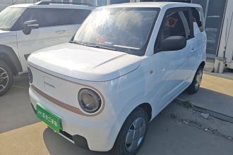吉利银河 2024款 熊猫mini 200km 耐力熊